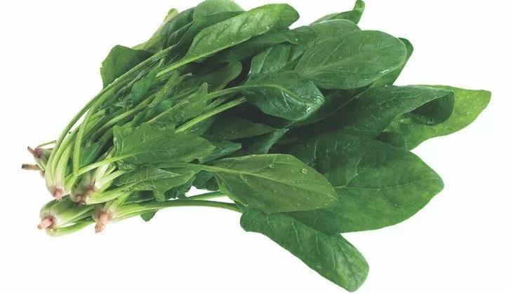 A bunch of spinach leaves