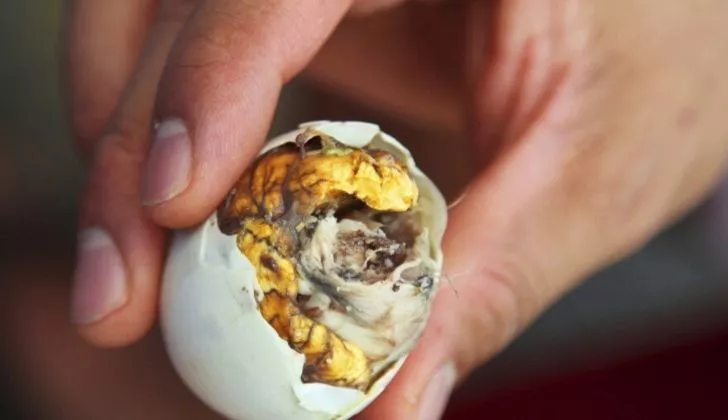 A man holding a duck embryo