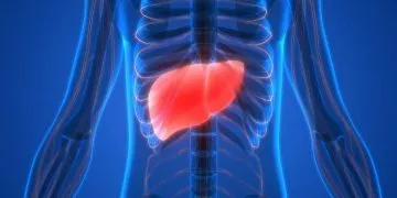 8 Interesting Facts About Your Liver