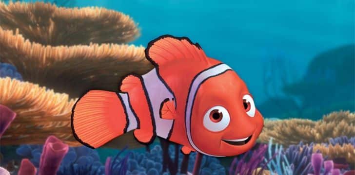 Finding out facts about Nemo