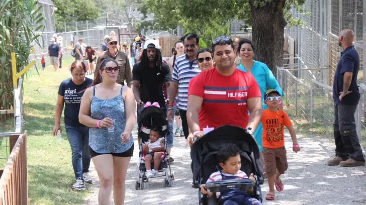 Visitors to the zoo from Tiger King