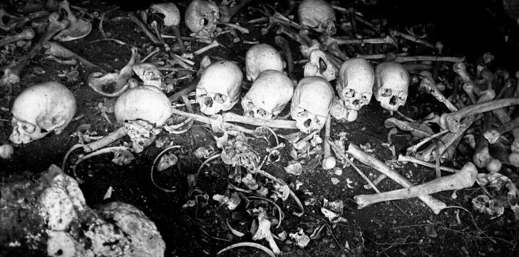 Human skulls and other bones scattered on soil