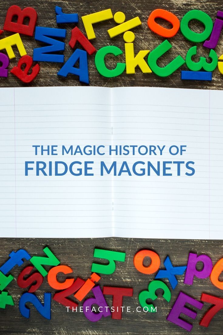 The Magic History Of Fridge The Fact Site