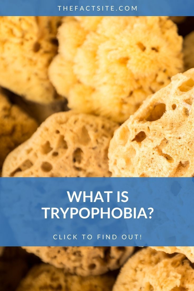 What Is Trypophobia?