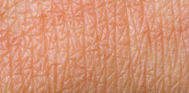 A closeup image of the pores on human skin
