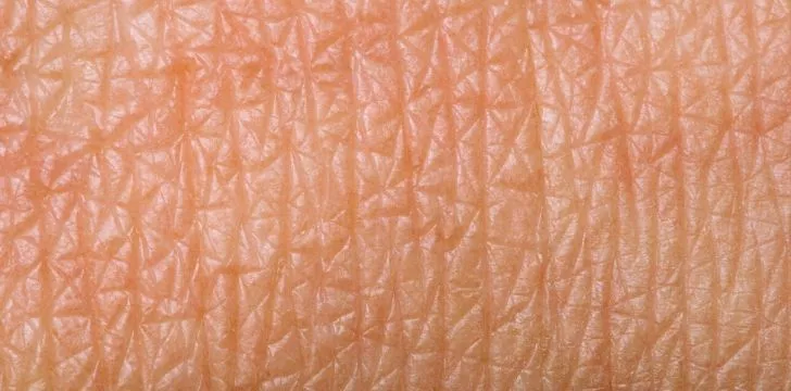 A closeup image of the pores on human skin