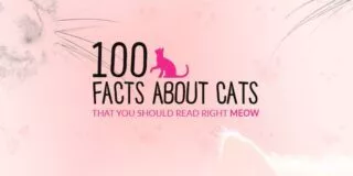 300 Random Animal Facts - The Fact Site 300 Random Animal Facts - The Fact Site
