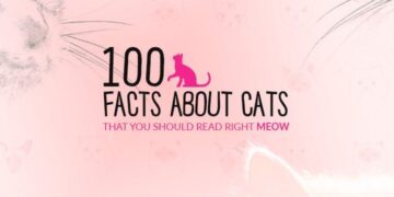 100 Cat Facts