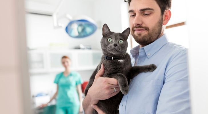 A cat looking shocked at the doctors
