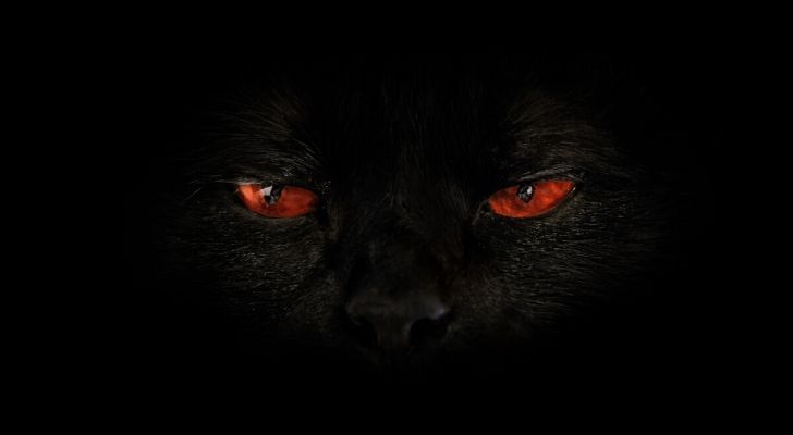 A dark closeup of a black cat with evil looking red eyes