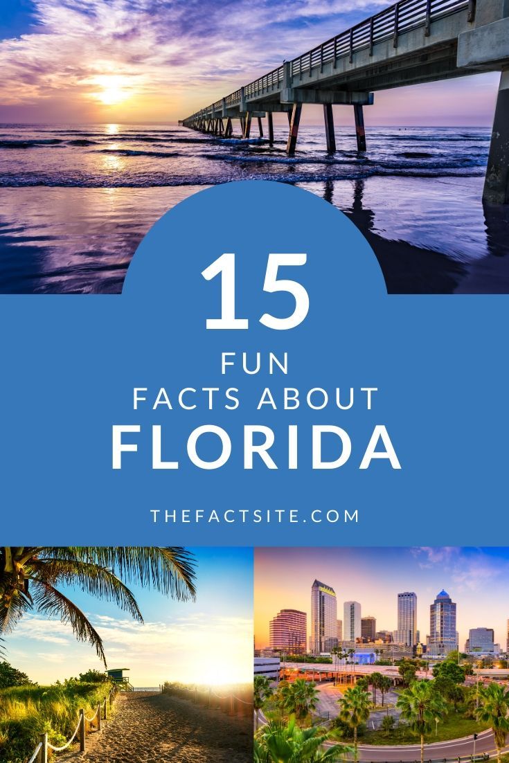 15 Fun Facts About Florida The Fact Site