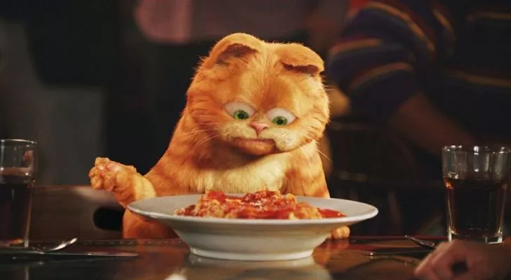 Garfield the cat staring at a bowl of lasagne