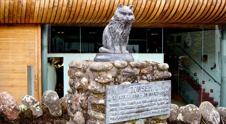 Towser Cat Statue with plaque