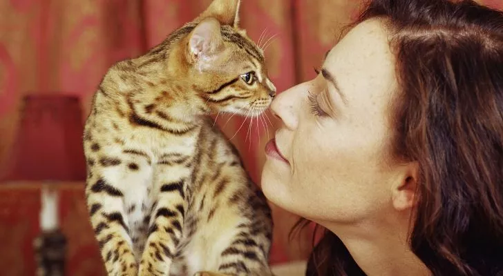 A cat and a woman staring at eachother with their noses touching
