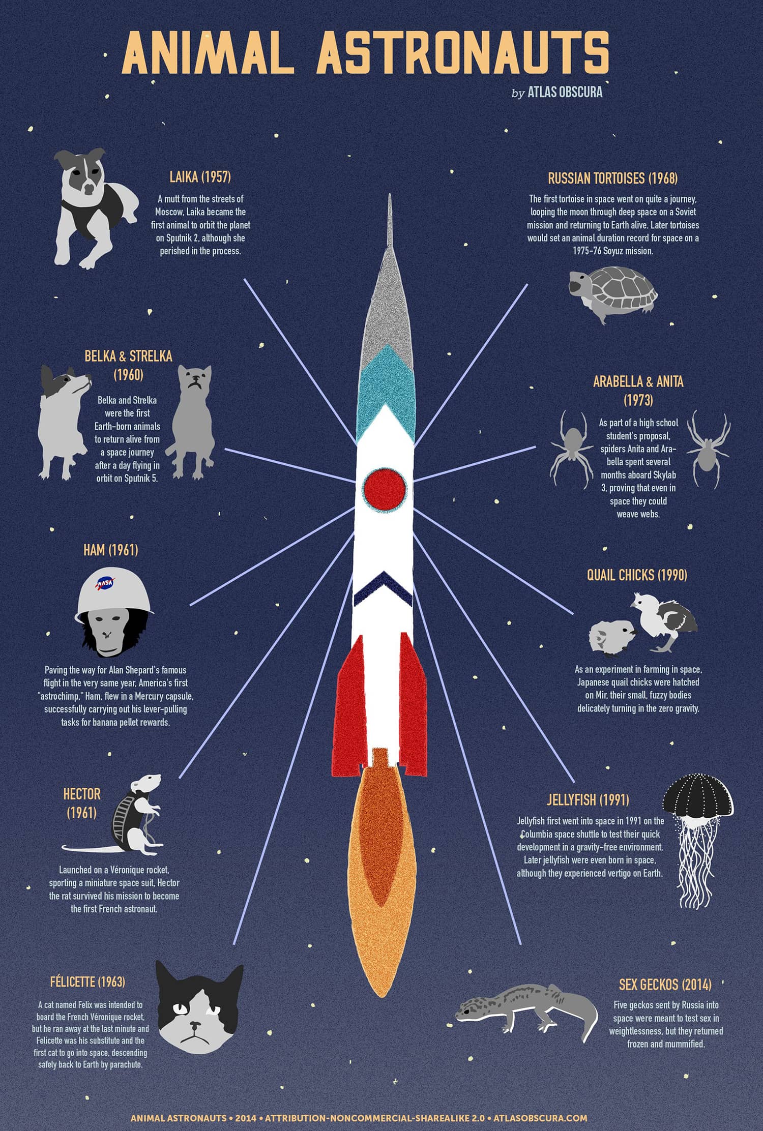 Infografía de animales astronautas