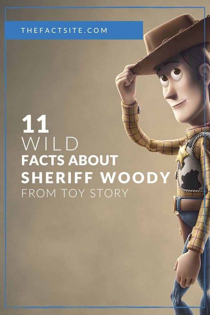 11 Wild Facts About Sheriff Woody From Toy Story - The Fact Site