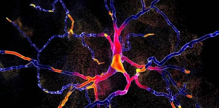 Dopamine in the brain