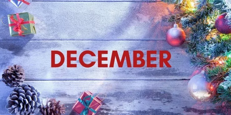 20 facts about December