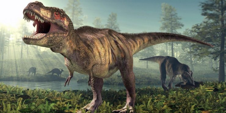 Facts about the tyrannosaurus dinosaur