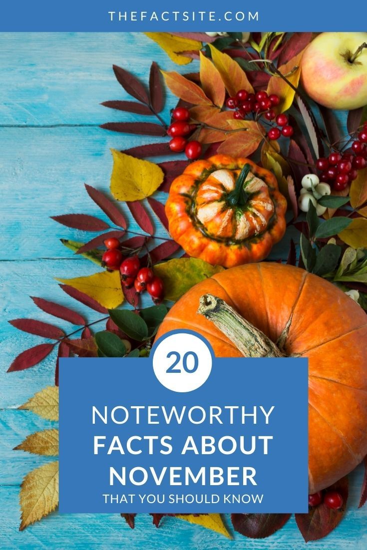 20 Noteworthy Facts About November The Fact Site