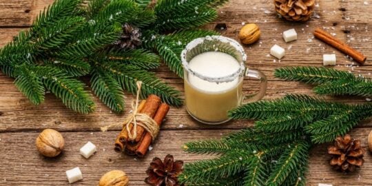 5 Enjoyable Facts About Eggnog