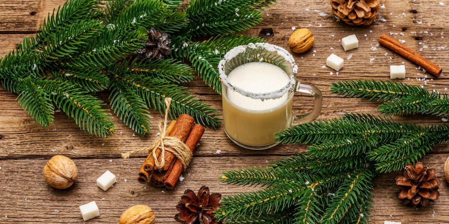 5 Enjoyable Facts About Eggnog The Fact Site