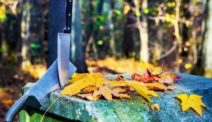 Knives stuck in wood