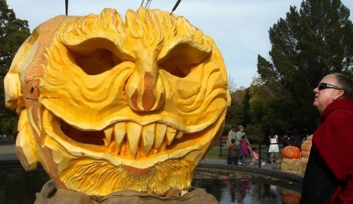 Scott Cully's humongous carved pumpkin