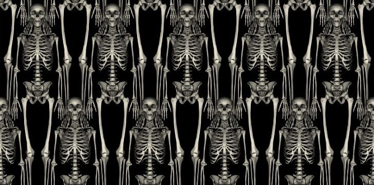 Rows of human skeletons