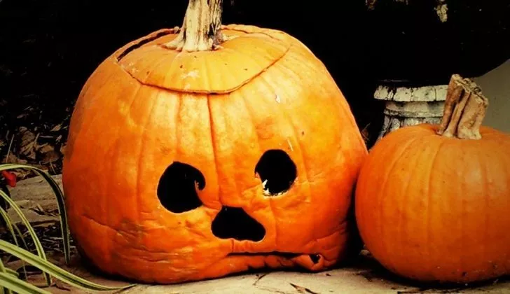 A very sad looking pumpkin