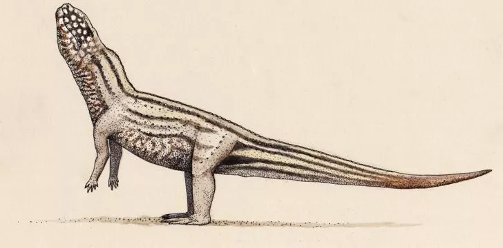 A vivaron illustration that looks like a dinosaur snake