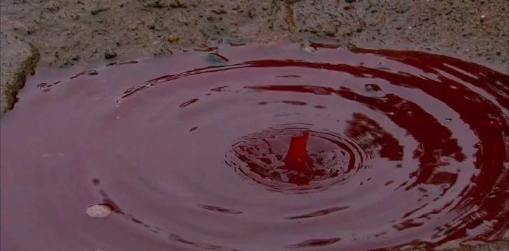 A blood puddle