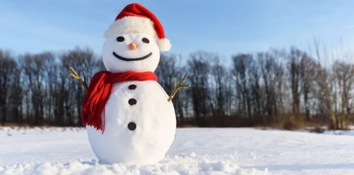 A proud happy snowman