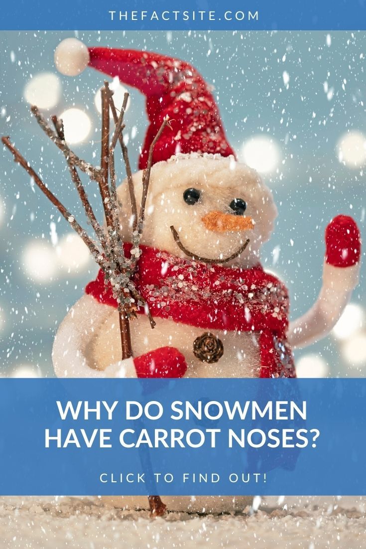 Why Do Snowmen Have Carrot Noses? - The Fact Site
