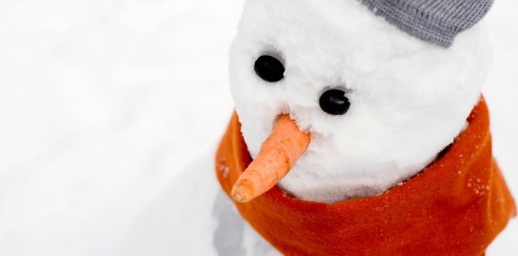 Snowman Carrot Nose