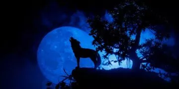 What is a wolf moon?