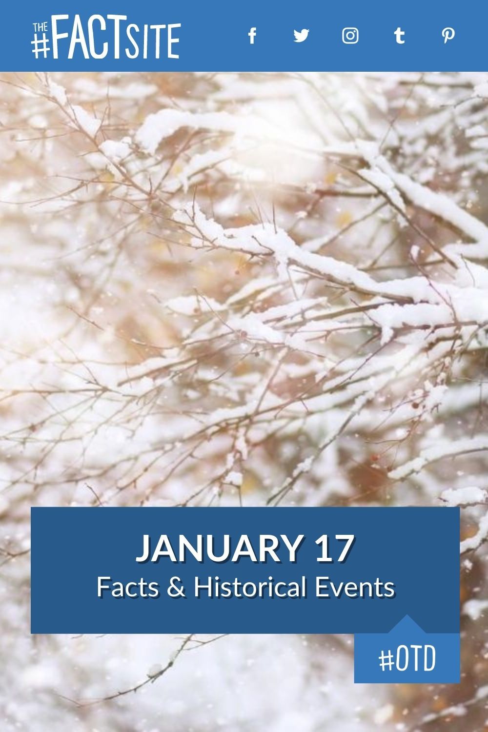 January 17: Facts & Historical Events On This Day