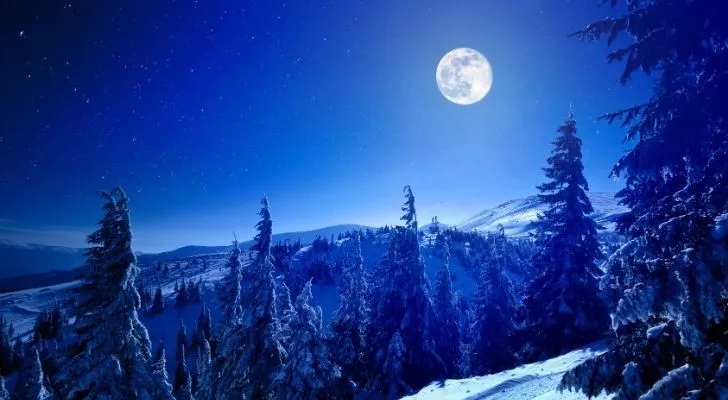 A winter wonderland on Earth with the moon in the sky