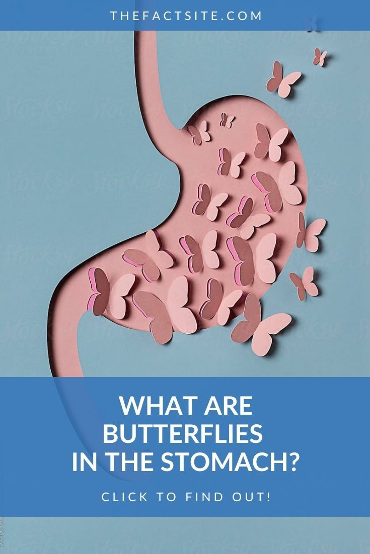 What Are Butterflies In The Stomach?