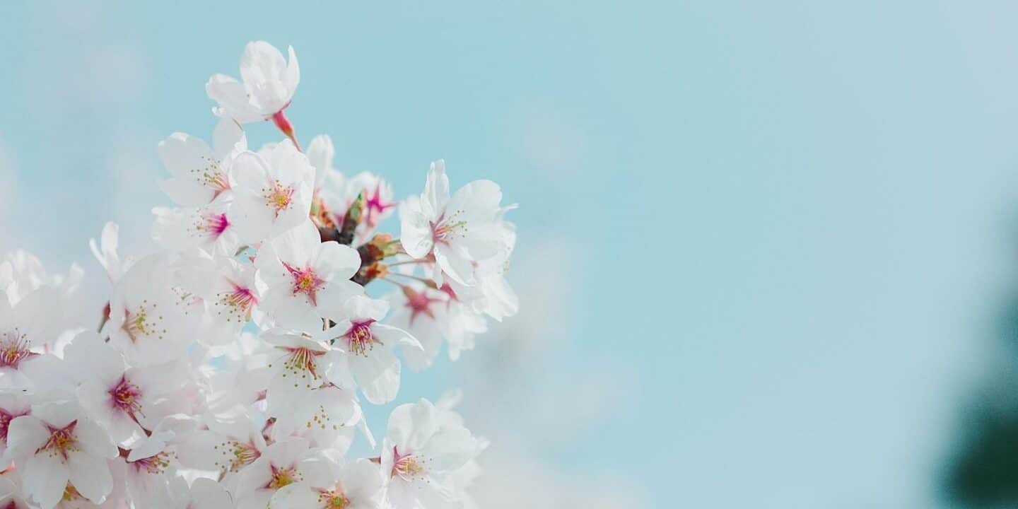 April 10: Facts & Historical Events On This Day - The Fact Site