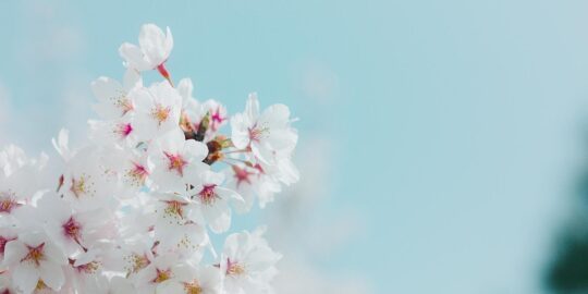 April 10: Facts & Historical Events On This Day