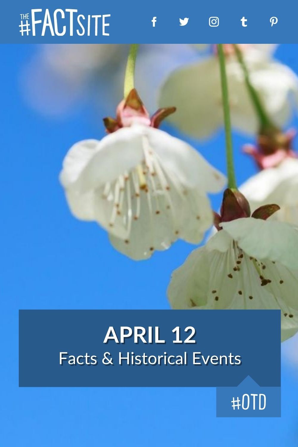 April 12: Facts & Historical Events On This Day
