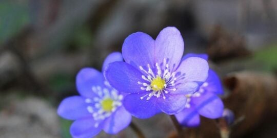 April 14: Facts & Historical Events On This Day