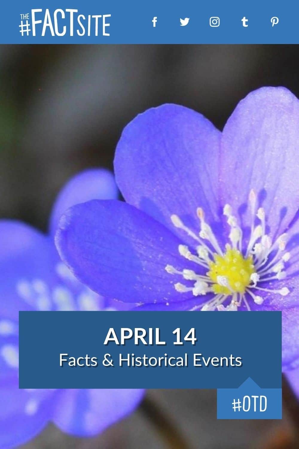April 14 Facts & Historical Events On This Day The Fact Site