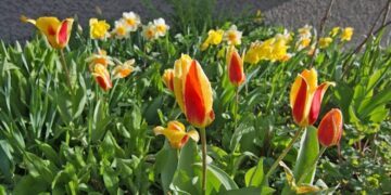 Facts & Historic Events That Happened on April 19