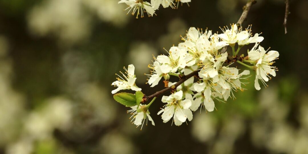 April 20: Facts & Historical Events On This Day - The Fact Site