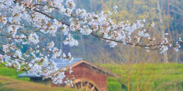 Facts & Historic Events That Happened on April 23