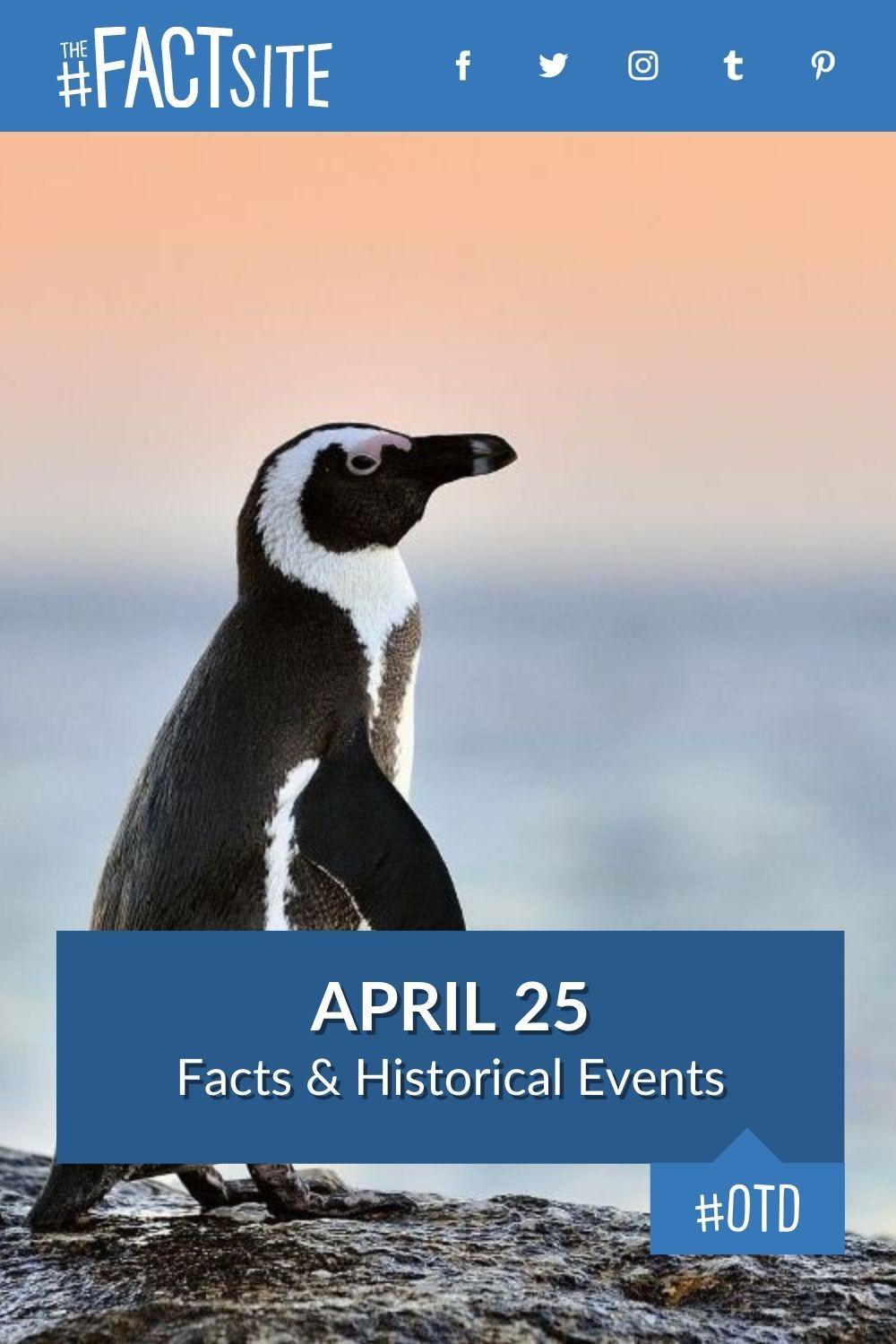 April 25: Facts & Historical Events On This Day
