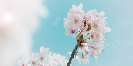 April 26: Facts & Historical Events On This Day