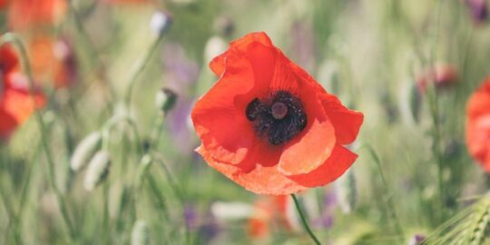 April 27: Facts & Historical Events On This Day